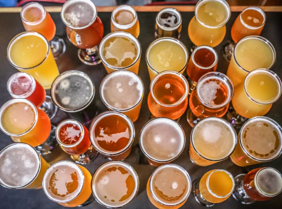 Chenango County Wine, Beer And Food Festival A Can’t Miss Event
