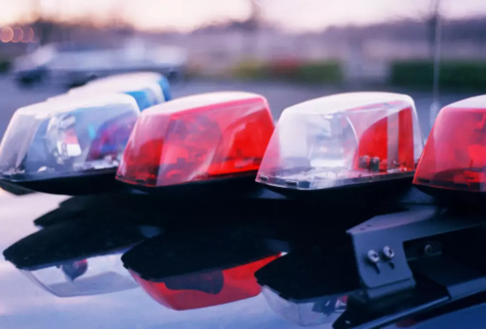 Delaware And Otsego Counties Police Blotter: July 26-August 3